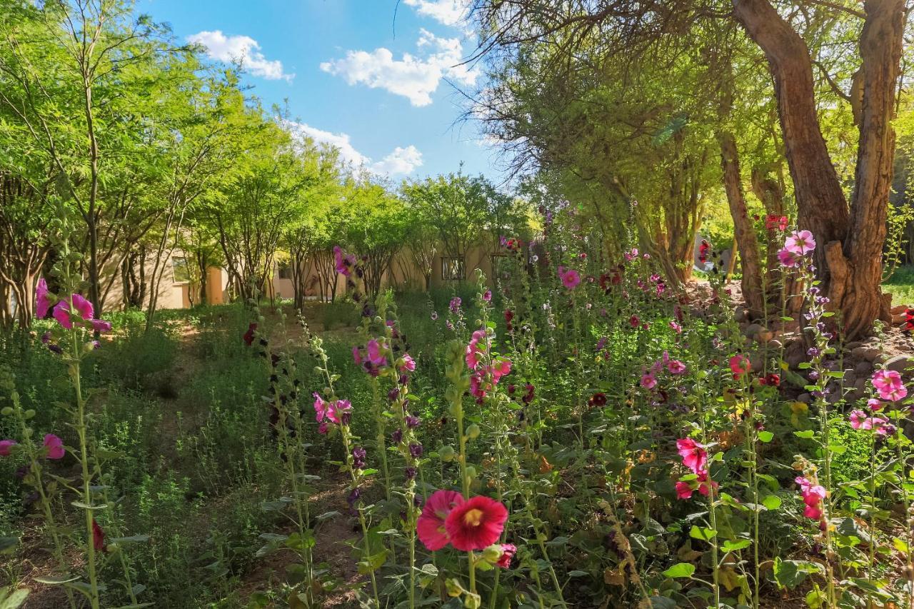 Casa Solcor Boutique Bed & Breakfast Сан-Педро-де-Атакама Экстерьер фото